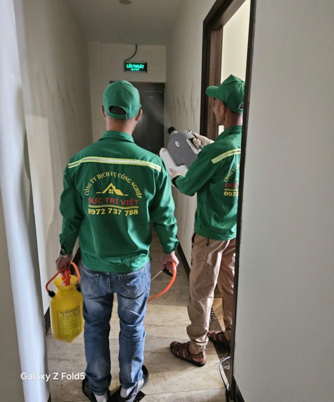 Công Ty Dịch Vụ Công Nghiệp Đức Trí Việt