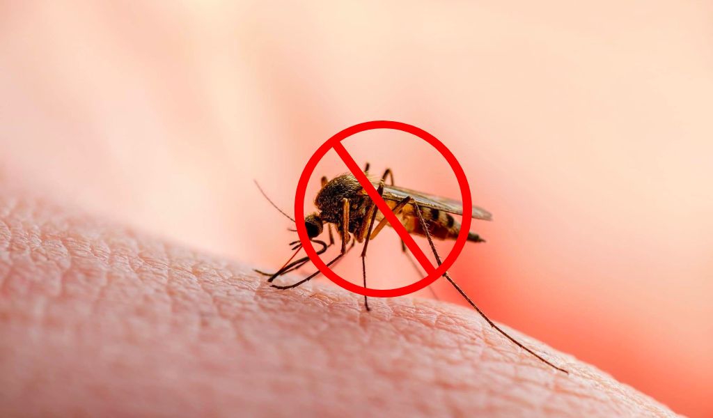 Công Ty Dịch Vụ Công Nghiệp Đức Trí Việt