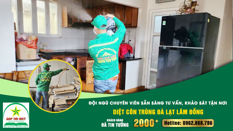 Công Ty Dịch Vụ Công Nghiệp Đức Trí Việt